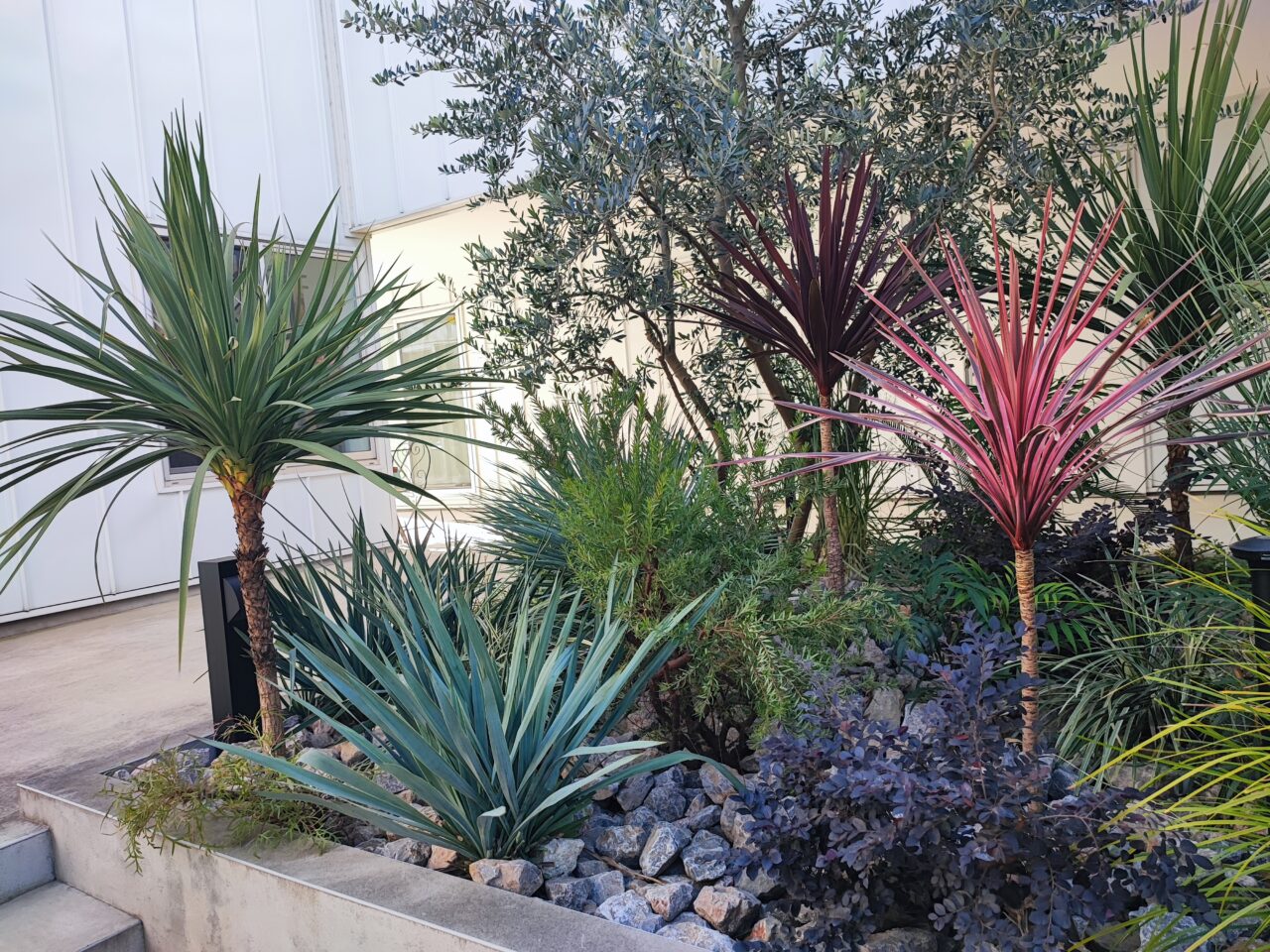 「クリスマスマーケット with コラージュプチマルシェ」＆「shiraoka terrace（しらおかテラス）」