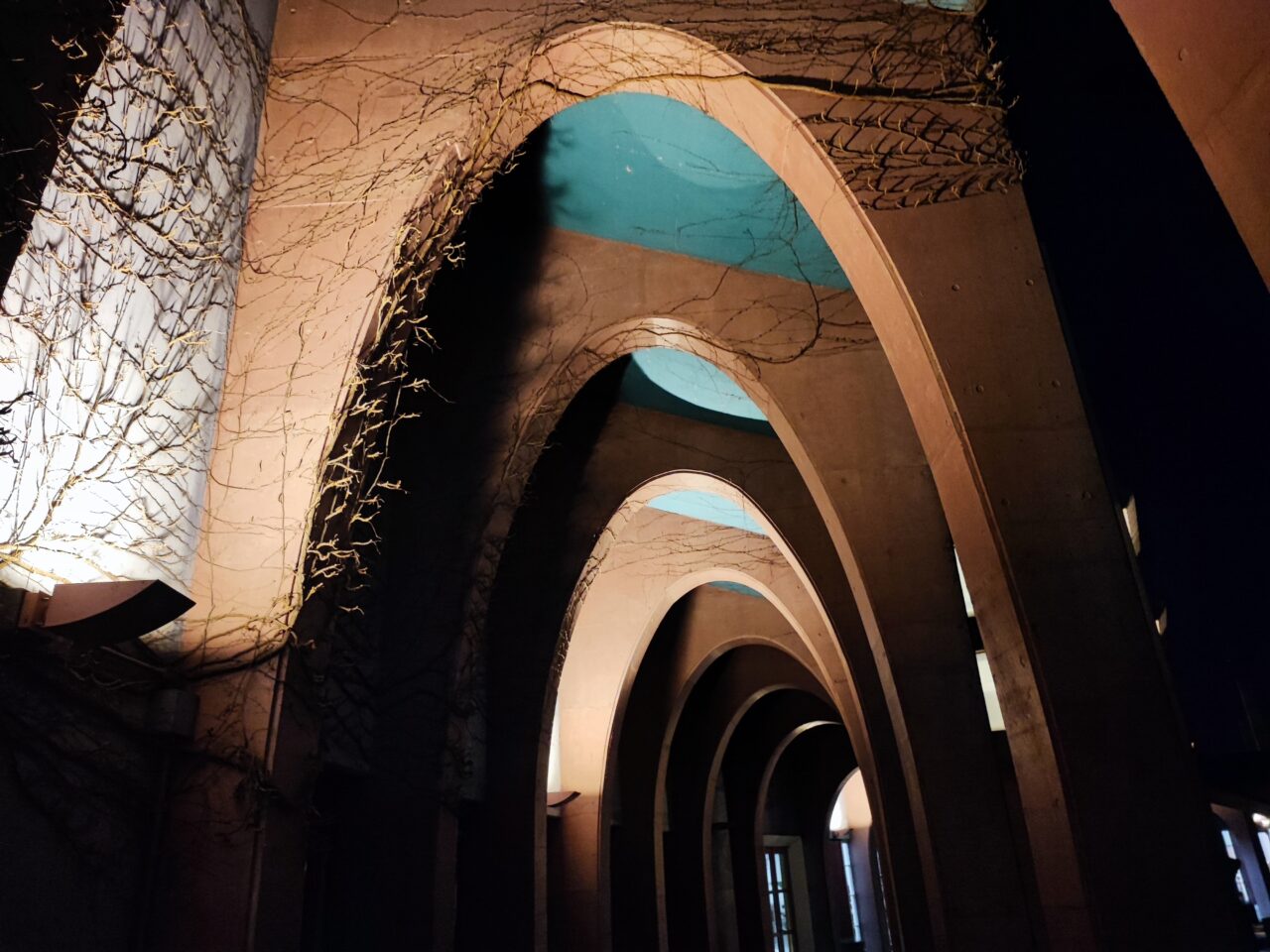 キャンドルナイトin進修館2025