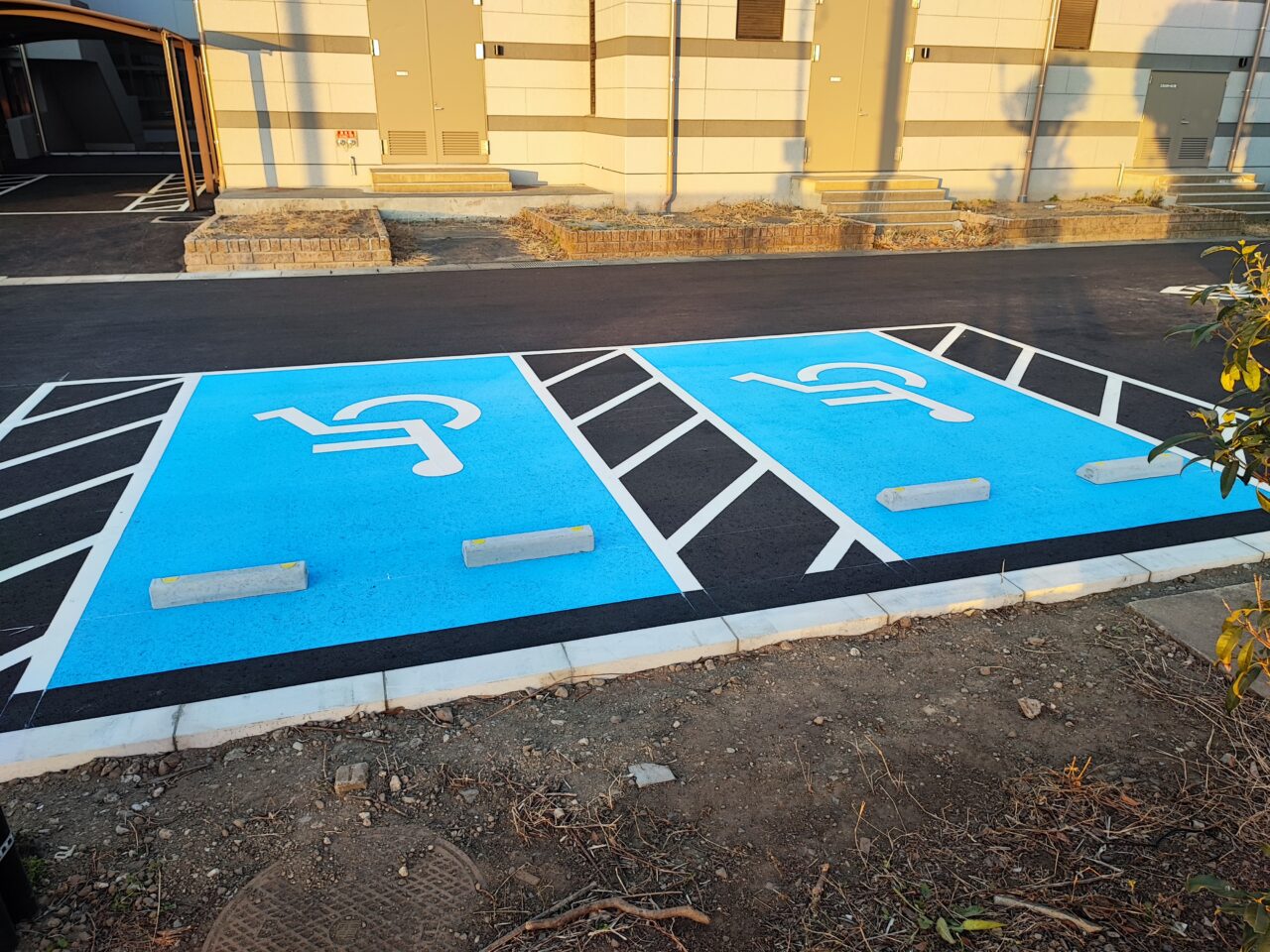 総合市民体育館パルシー2026年4月1日リニューアルオープン