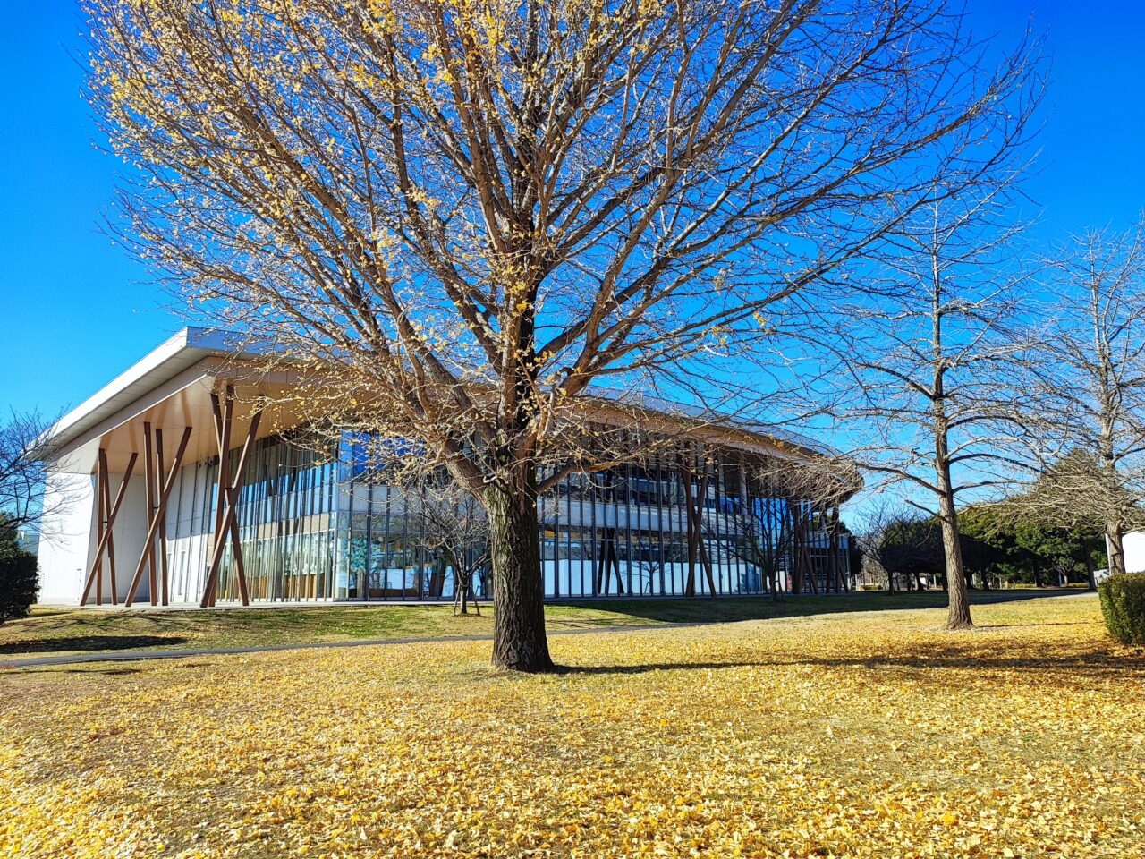 白岡市役所の仮設庁舎が15日オープン