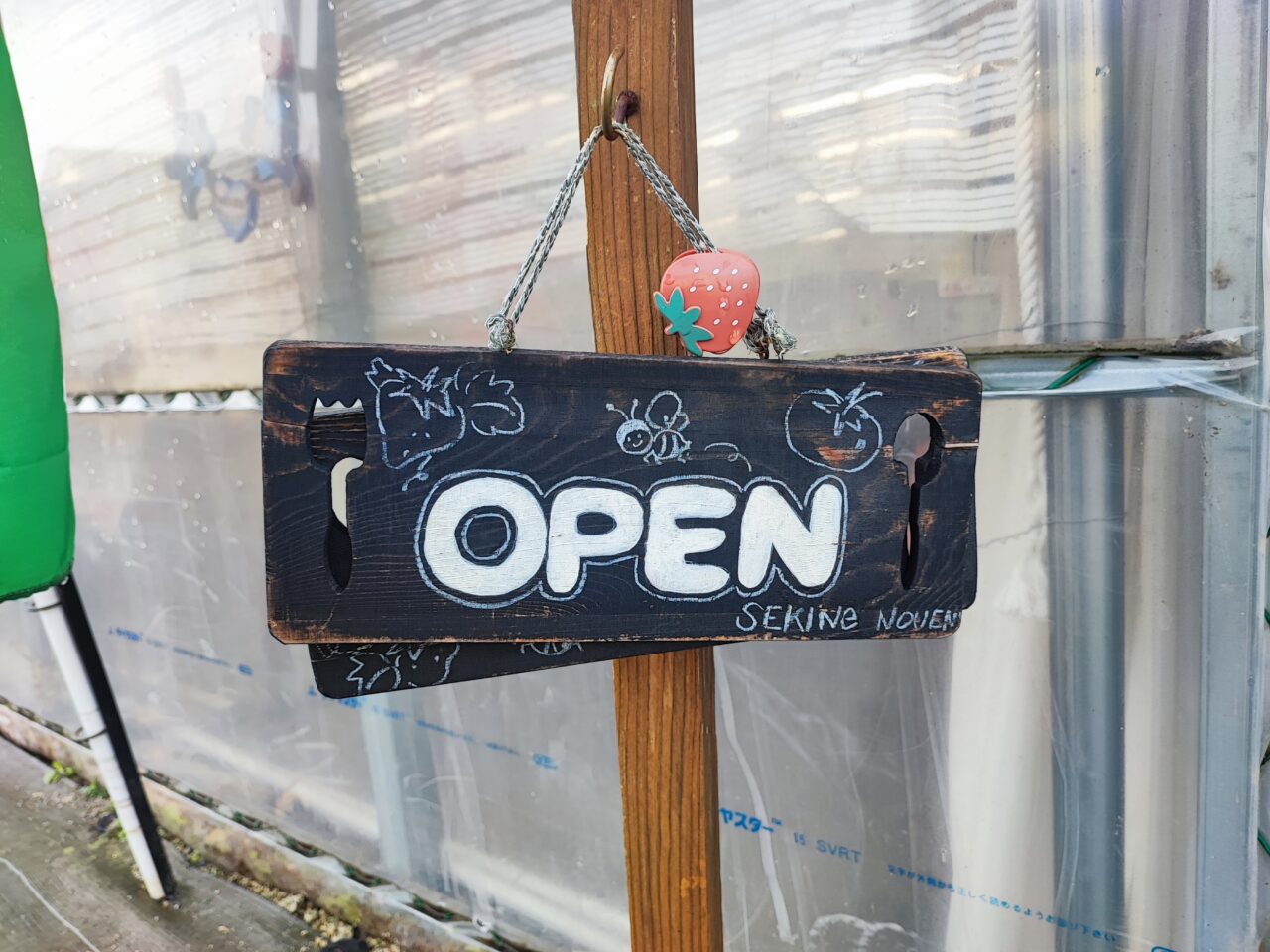 パサール蓮田  加藤農園でイチゴ狩り