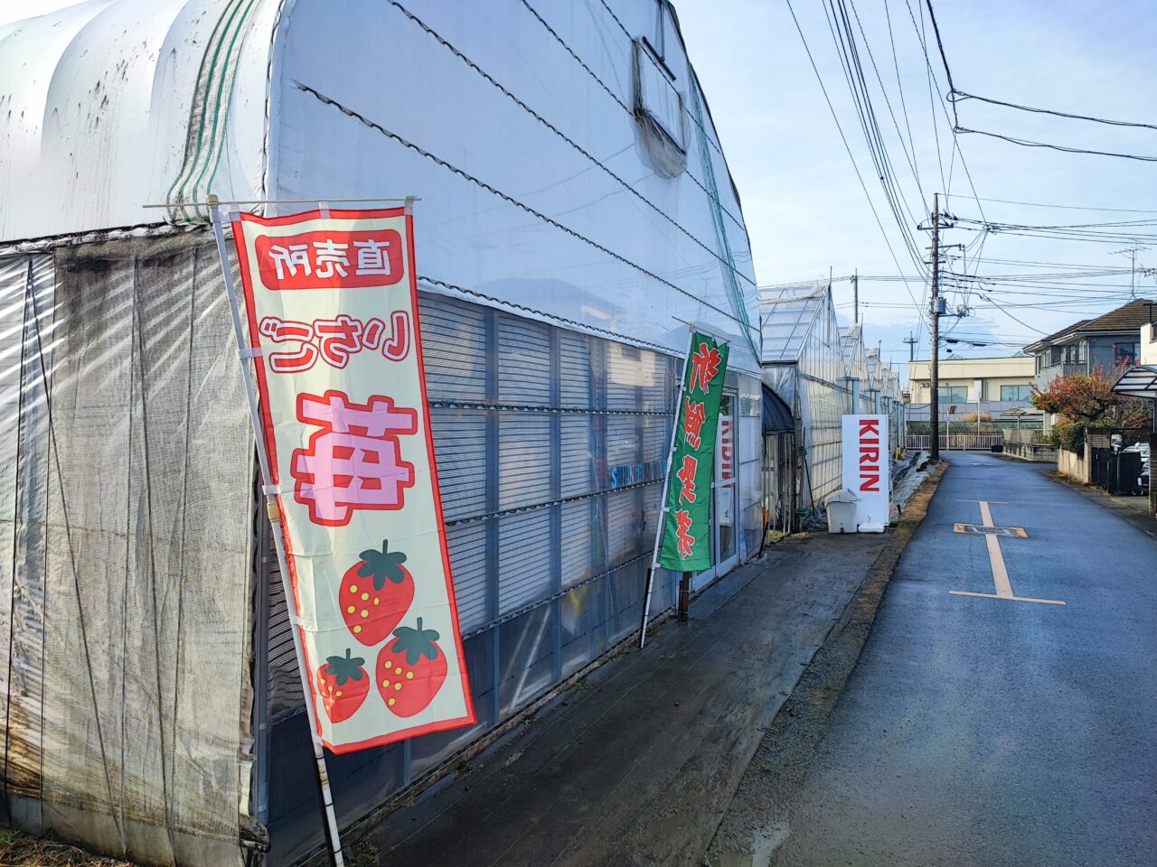 パサール蓮田  加藤農園でイチゴ狩り