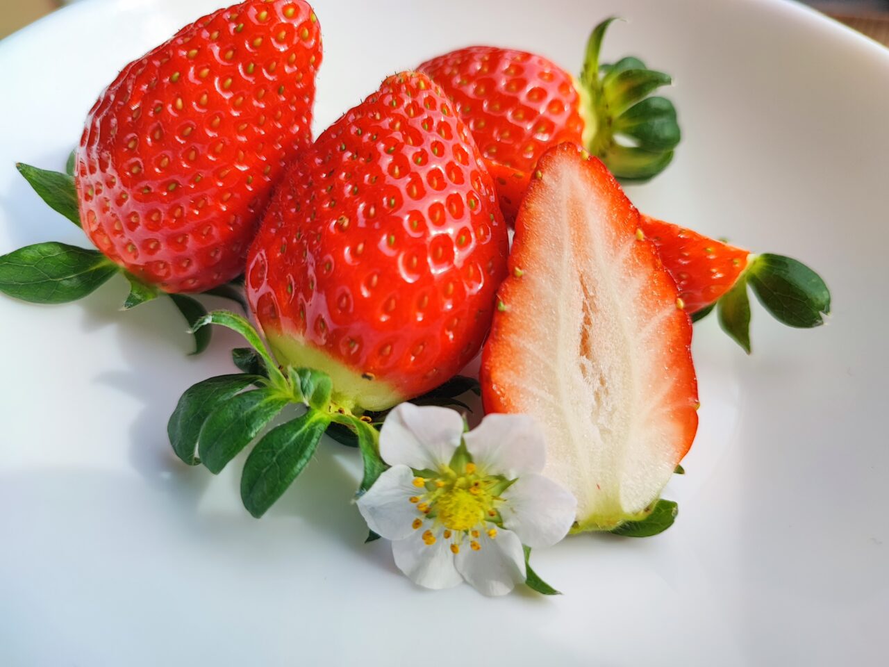 パサール蓮田  加藤農園でイチゴ狩り