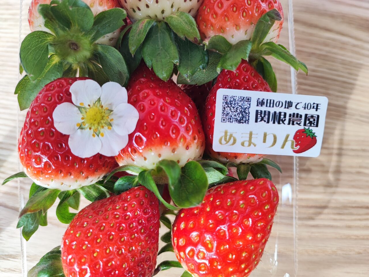 いちご☆ いちご ①苺 いちご adidas ZX 8000