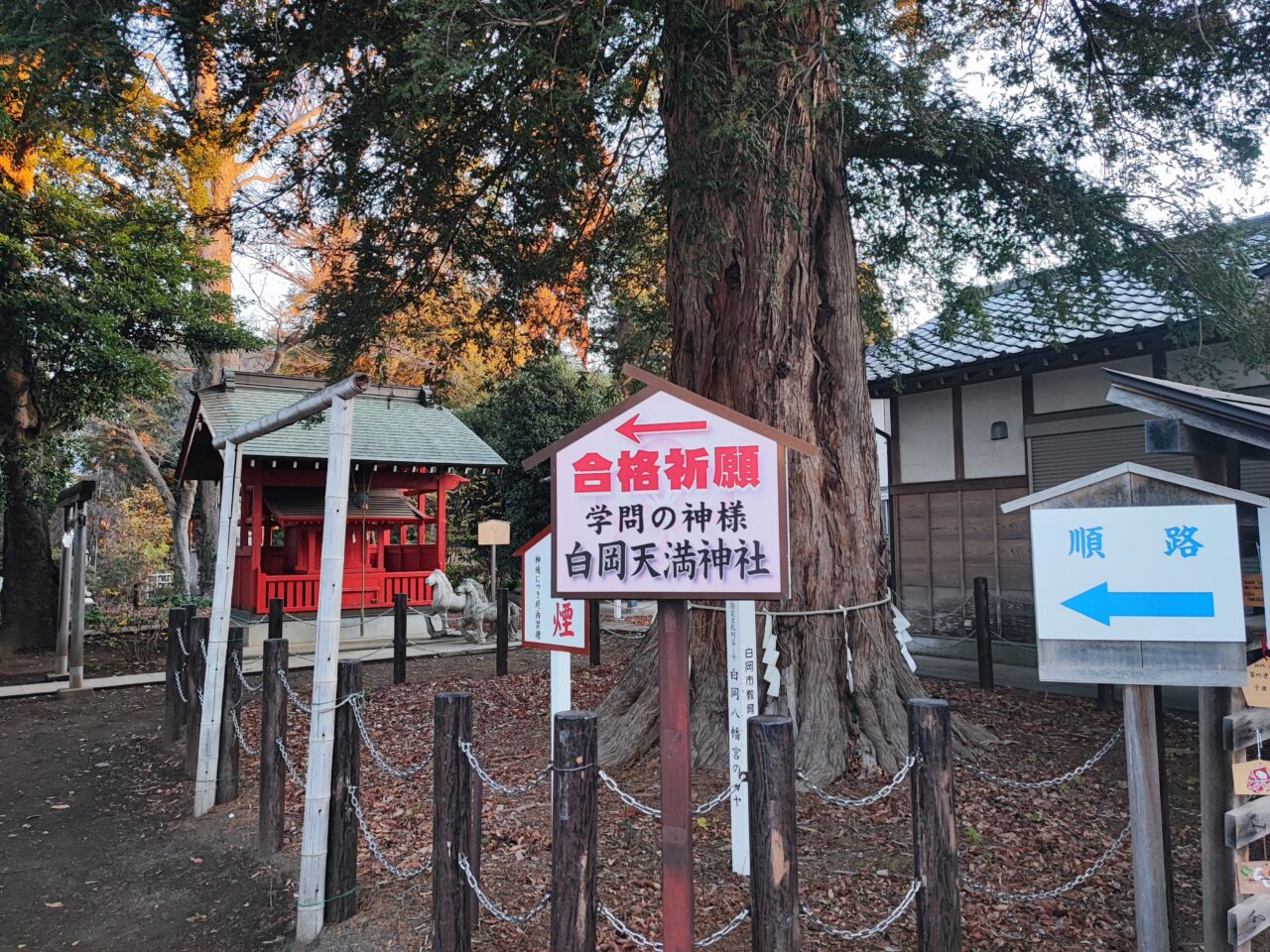 白岡八幡神社で初詣