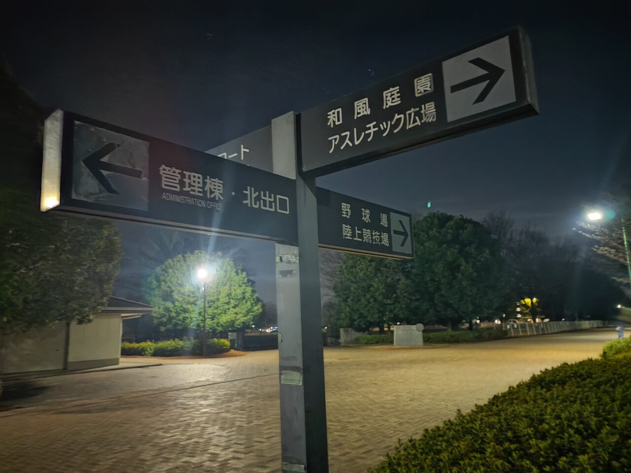 夜空に願いを。スカイランタン