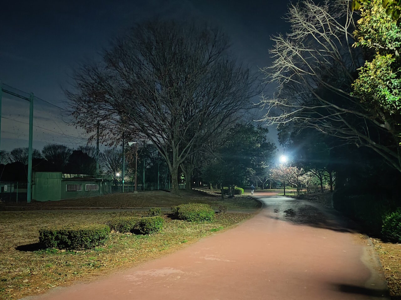 夜空に願いを。スカイランタン