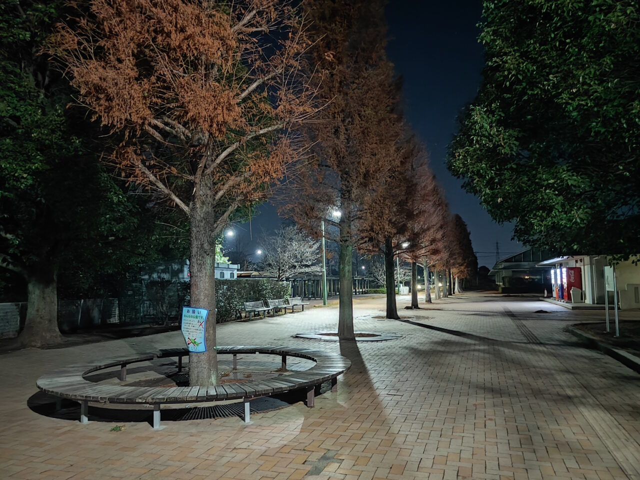 夜空に願いを。スカイランタン