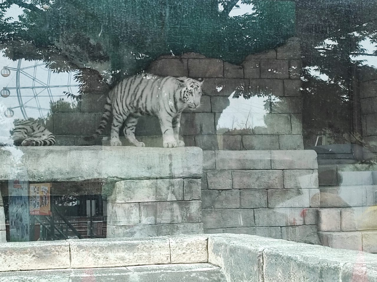 休園日限定イベント「プライベートZOO」