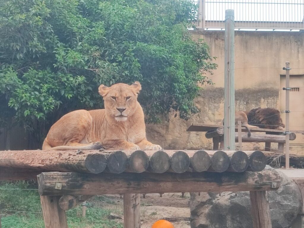 休園日限定イベント「プライベートZOO」