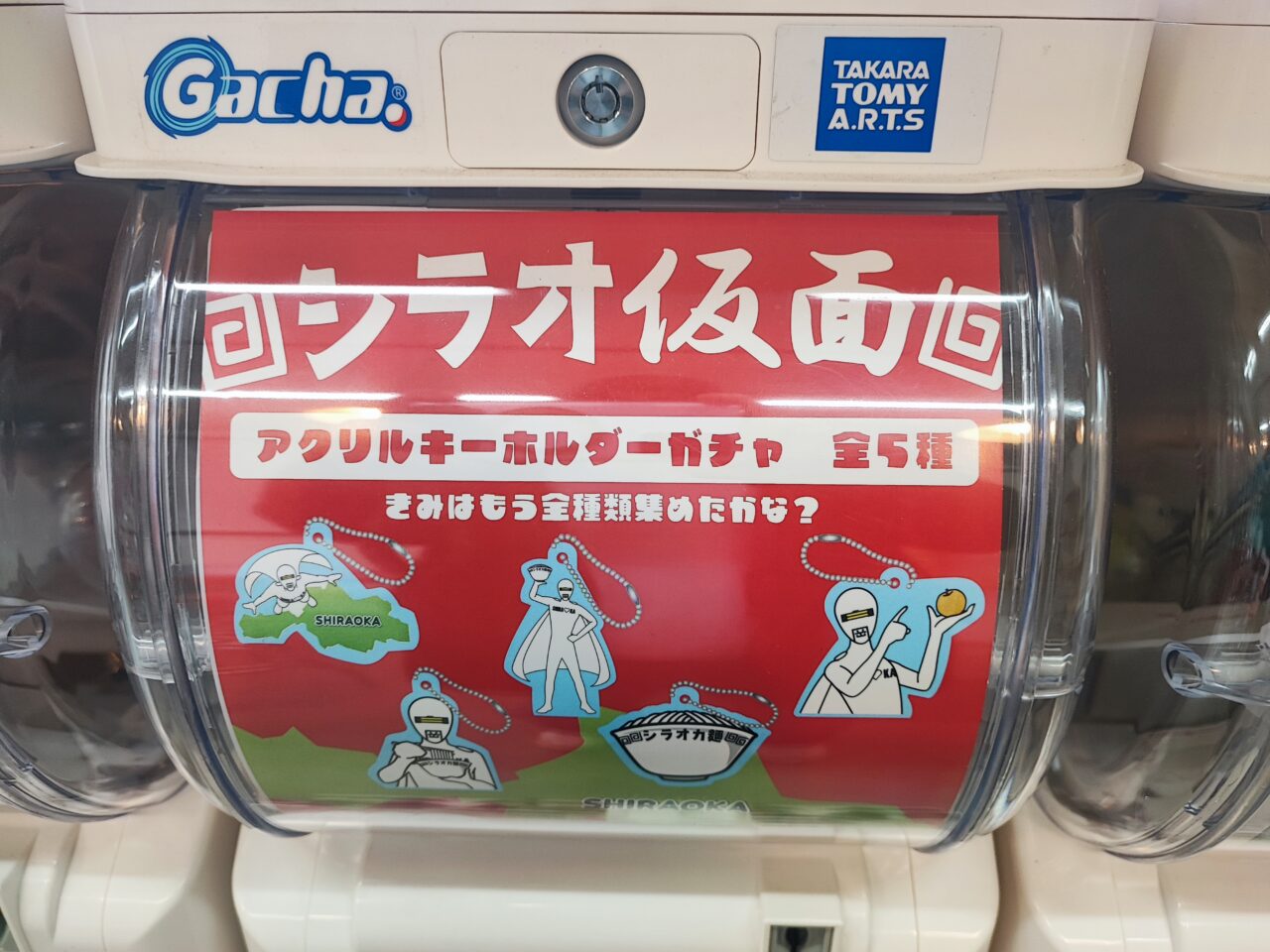 「シラオカフェ」と「シラオ仮面」