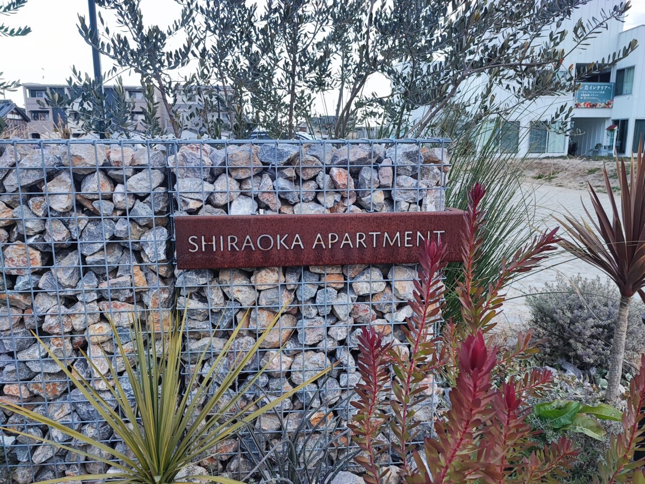 新年最初の「しらおかテラス」1月25日(日)