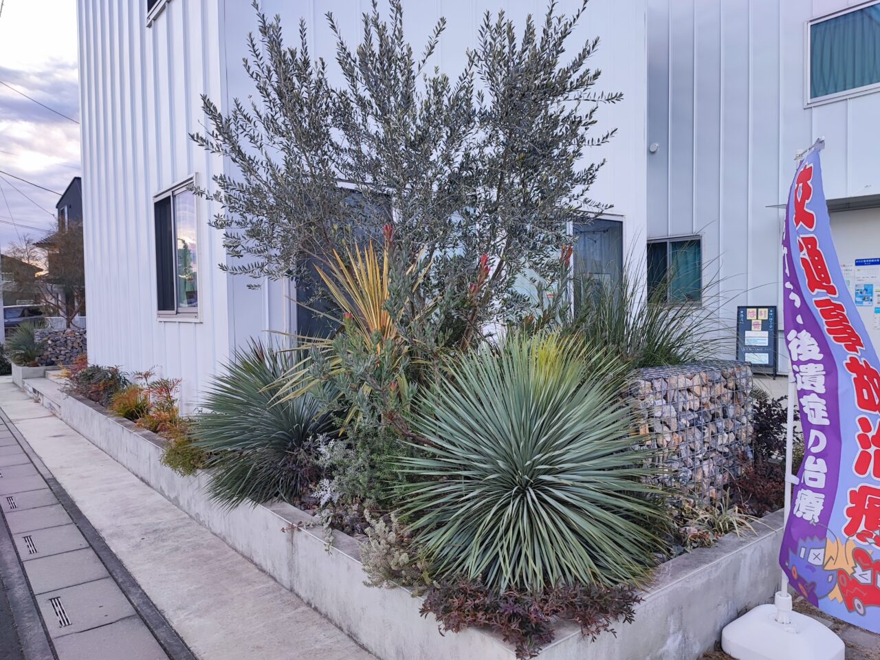 新年最初の「しらおかテラス」1月25日(日)