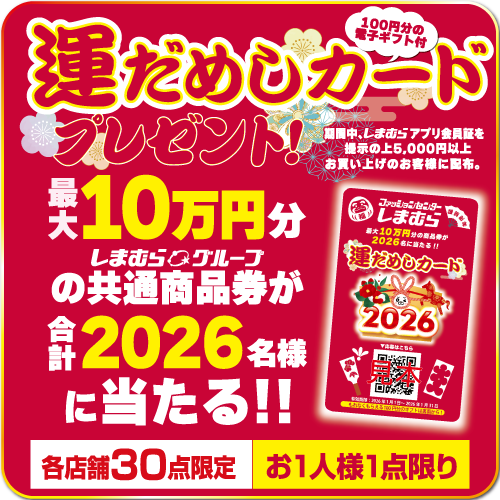 1月1日　ドンキ、しまむら　初売り