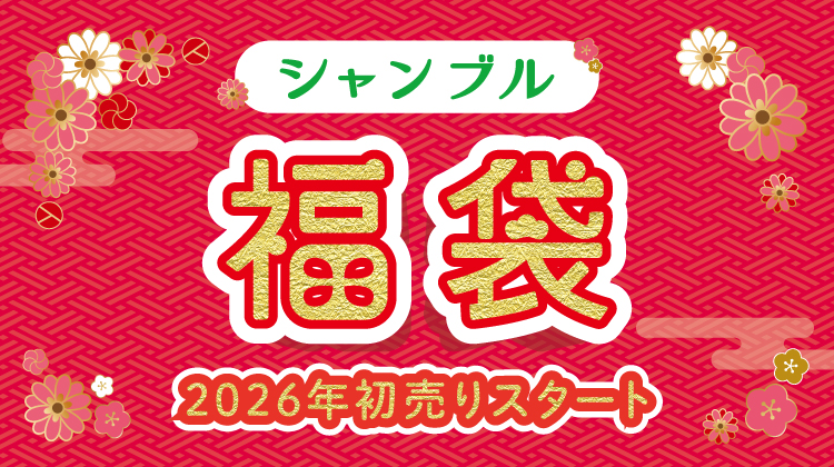 1月1日　ドンキ、しまむら　初売り