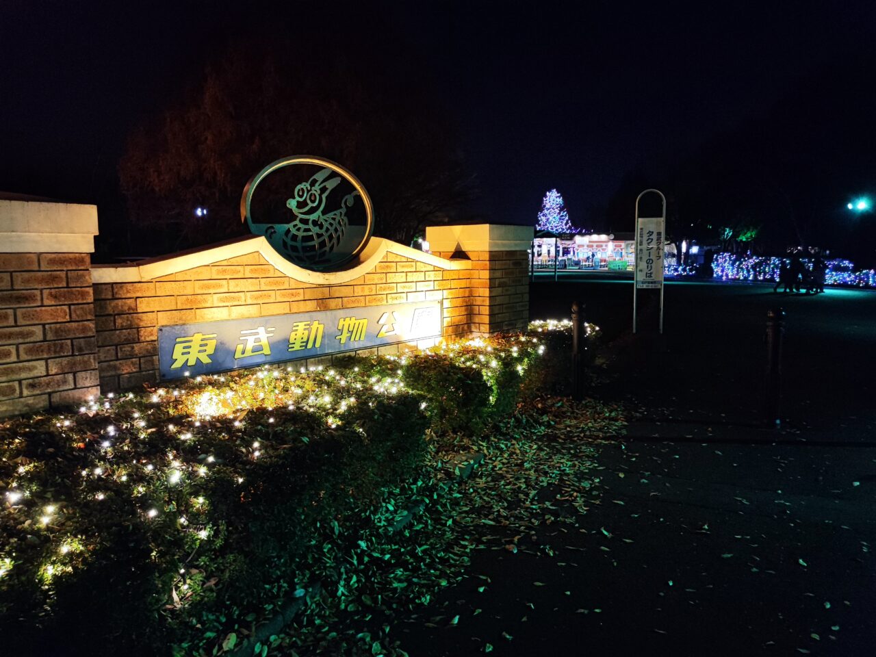 東武動物公園カラフルピーチ コラボドローンショー