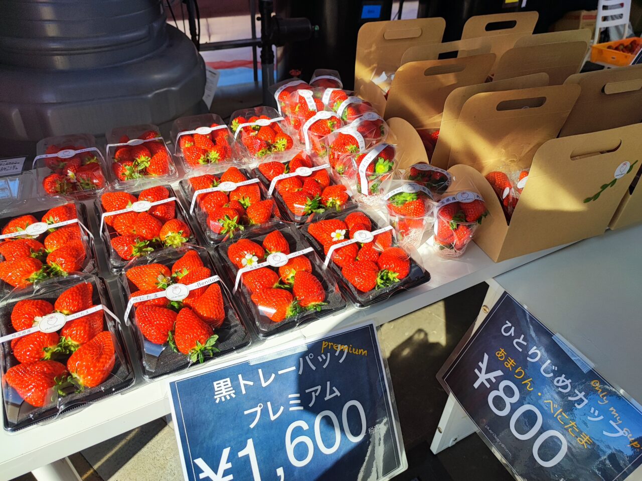 plus+Berry@farm　火曜・土曜　いちご販売
