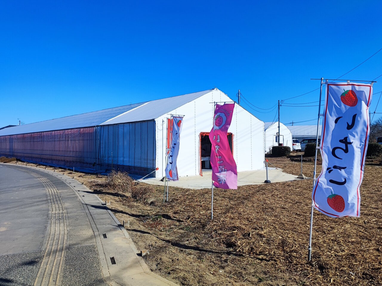 plus+Berry@farm　火曜・土曜　いちご販売