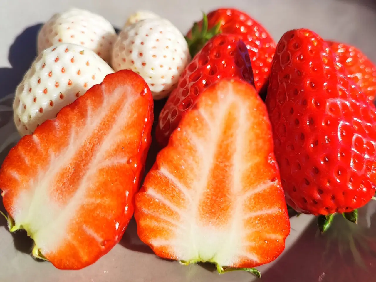 plus+Berry@farm 火曜・土曜 いちご販売