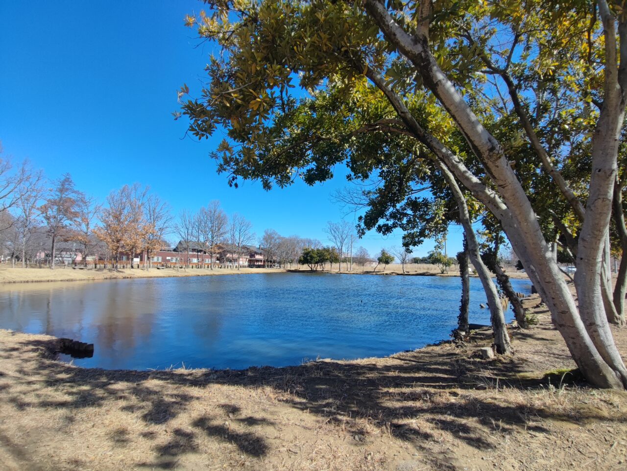 新しい村のいちごまつり