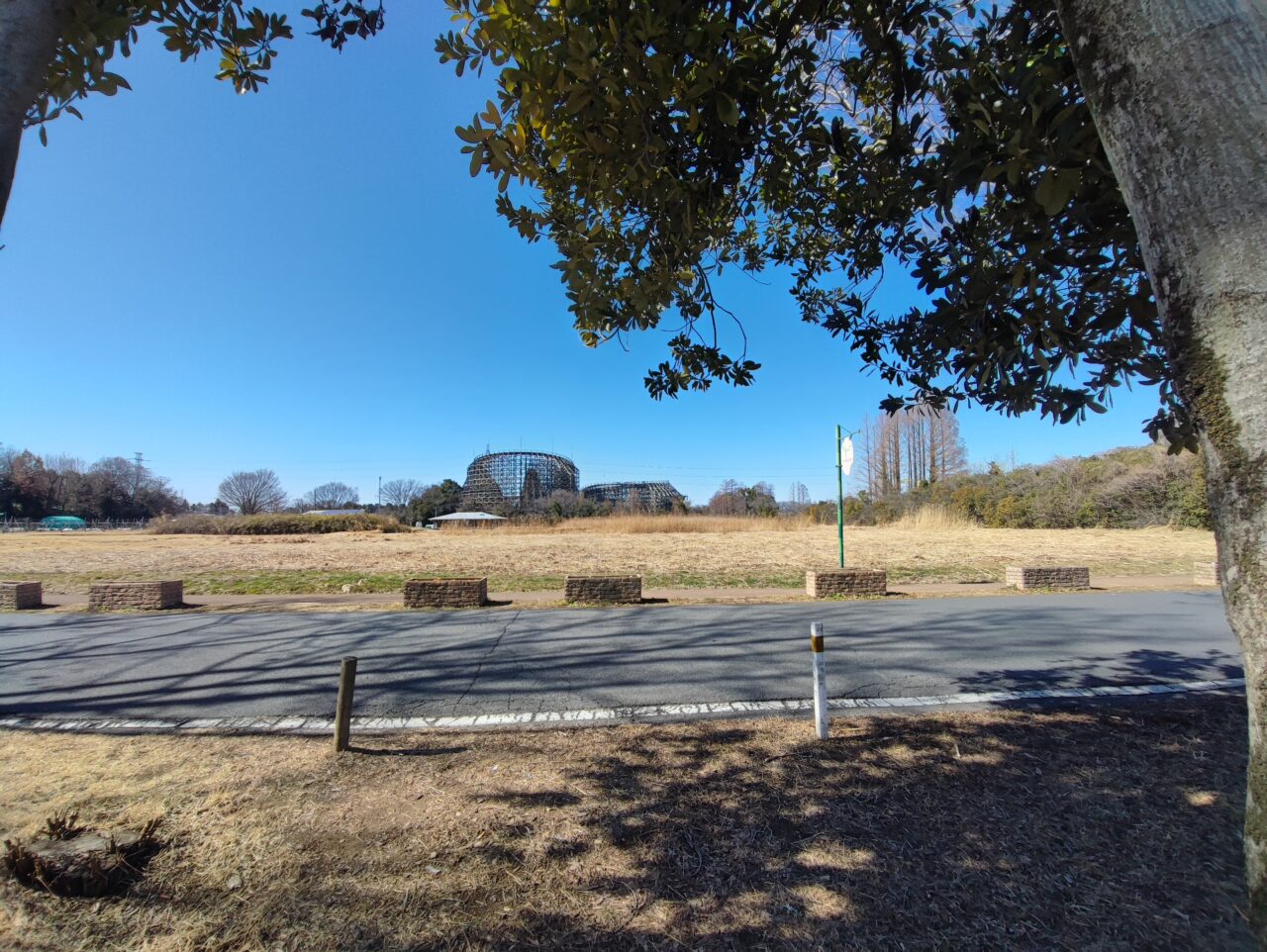 新しい村のいちごまつり