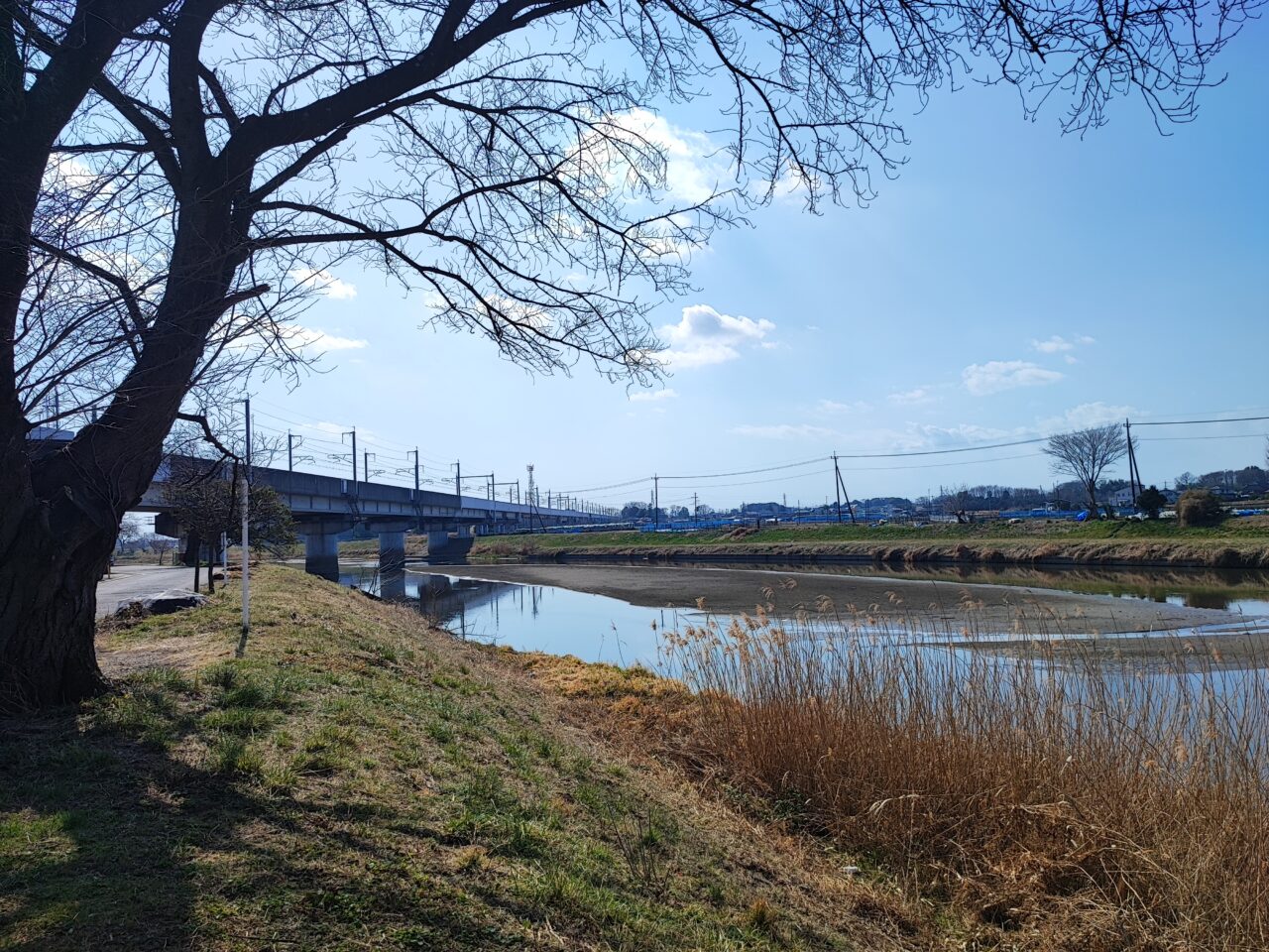 広報しらおか 第2回フォトコンテスト