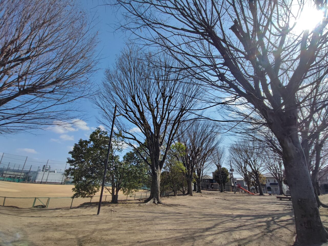 広報しらおか 第2回フォトコンテスト