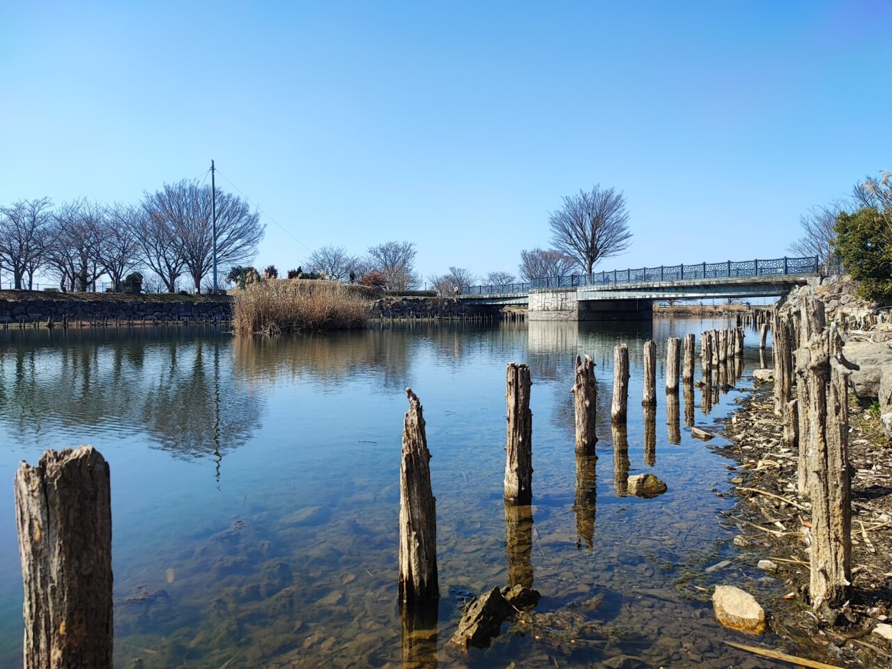 広報しらおか 第2回フォトコンテスト