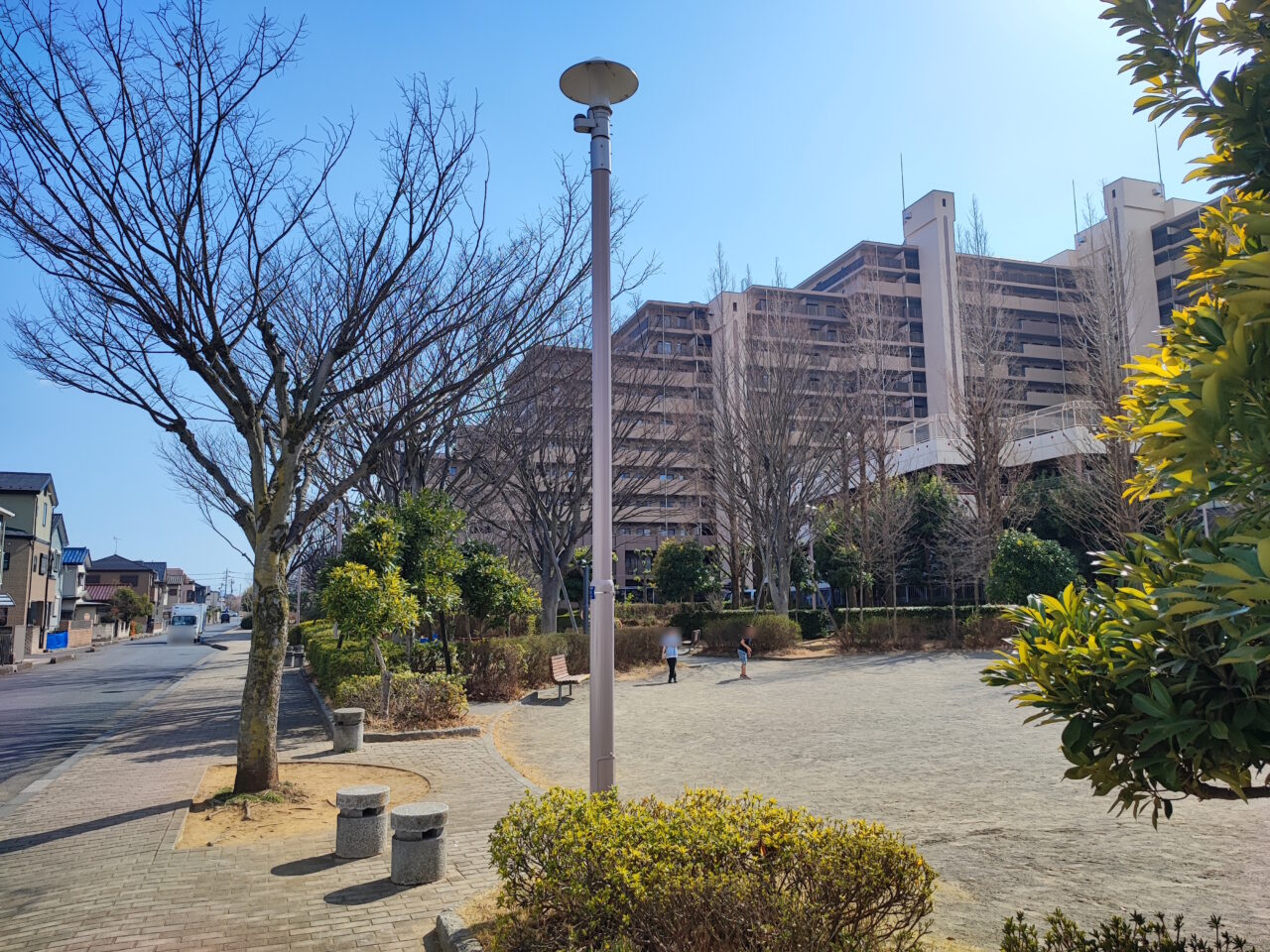 広報しらおか 第2回フォトコンテスト