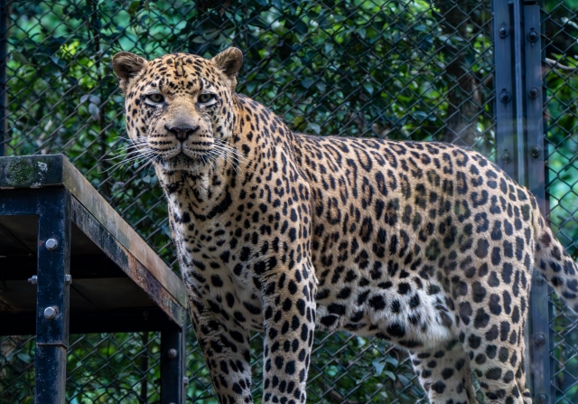 東武動物公園は開園45周年