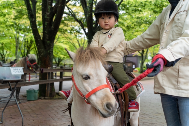 白岡八幡神社 春の例大祭