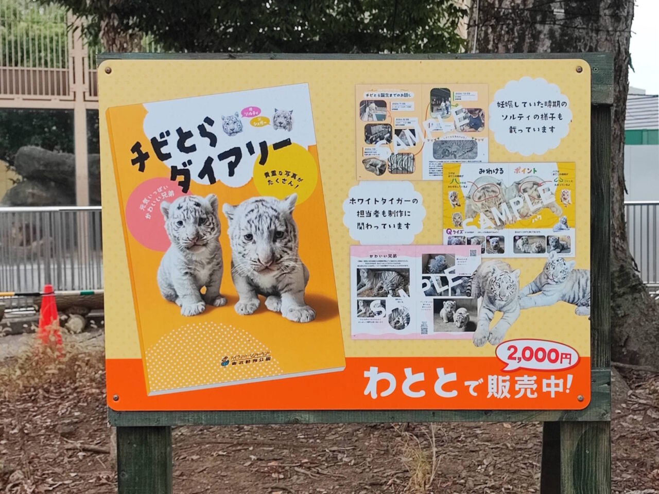 開園45周年記念トークイベント・超特急 タカシ