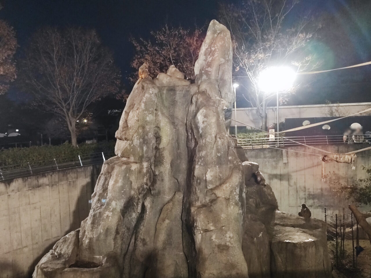 東武動物公園は開園45周年