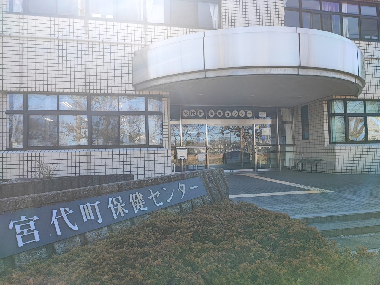 3月28日 桜市2026