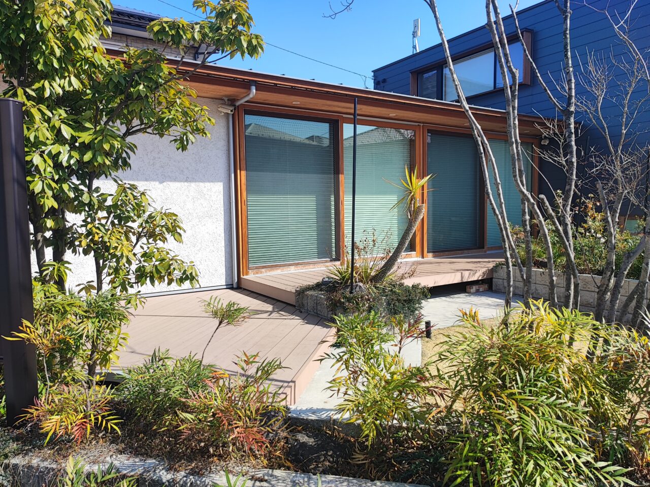 CoCo marché（ココマルシェ）2026年3月