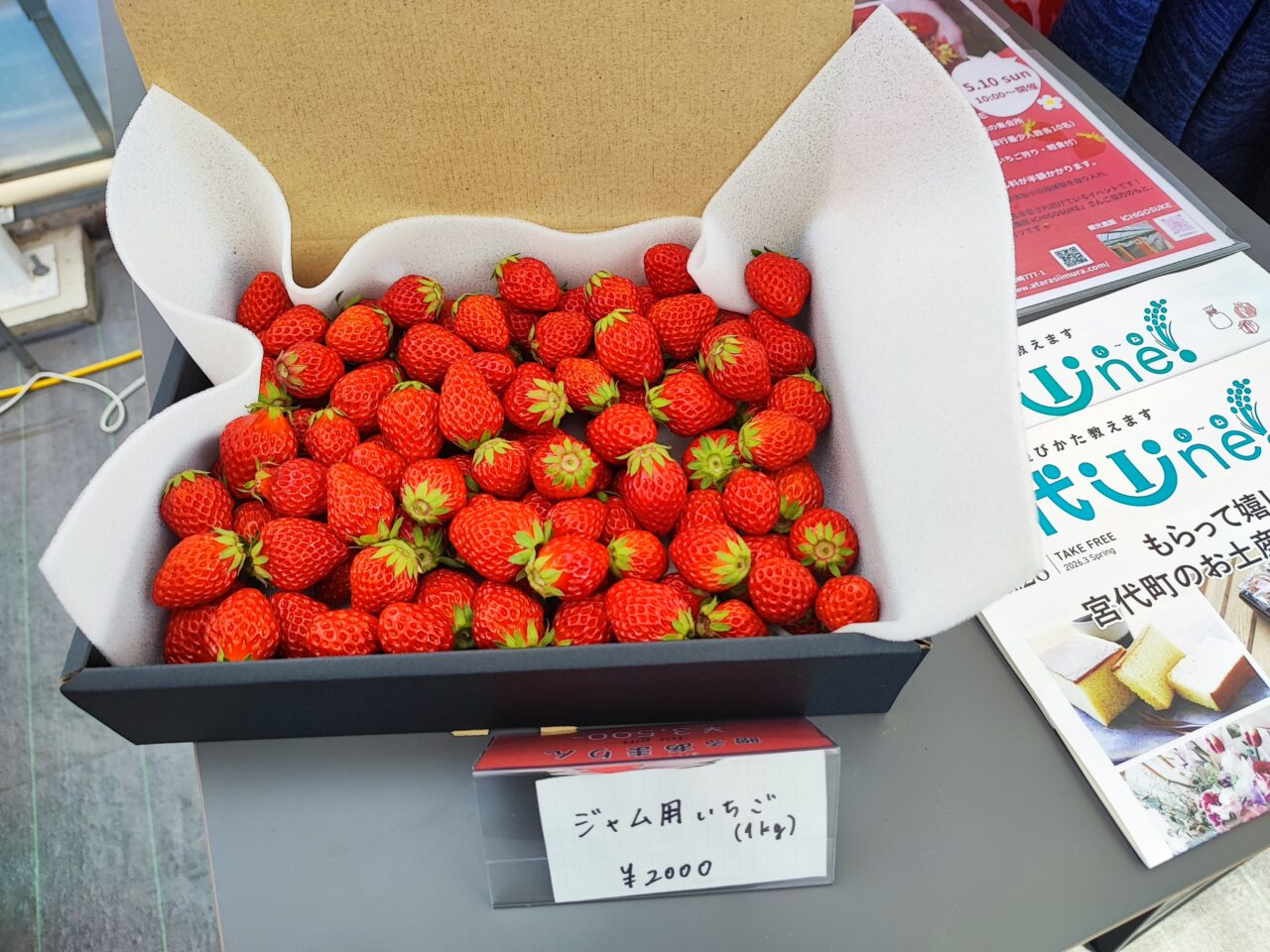 観光農園「ICHIGOSUKE（いちごすけ）」オープン