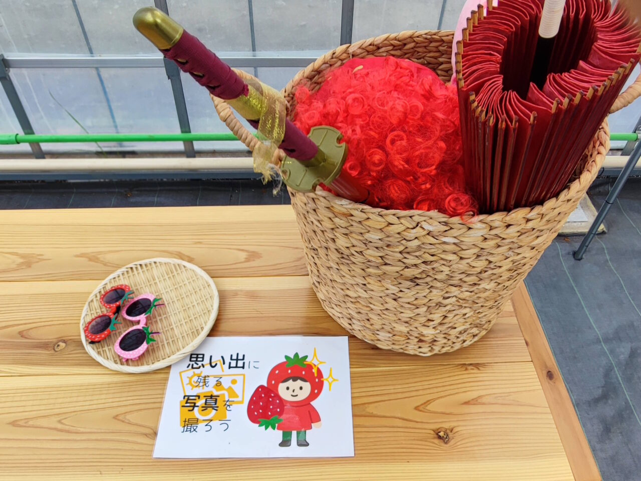 観光農園「ICHIGOSUKE（いちごすけ）」オープン