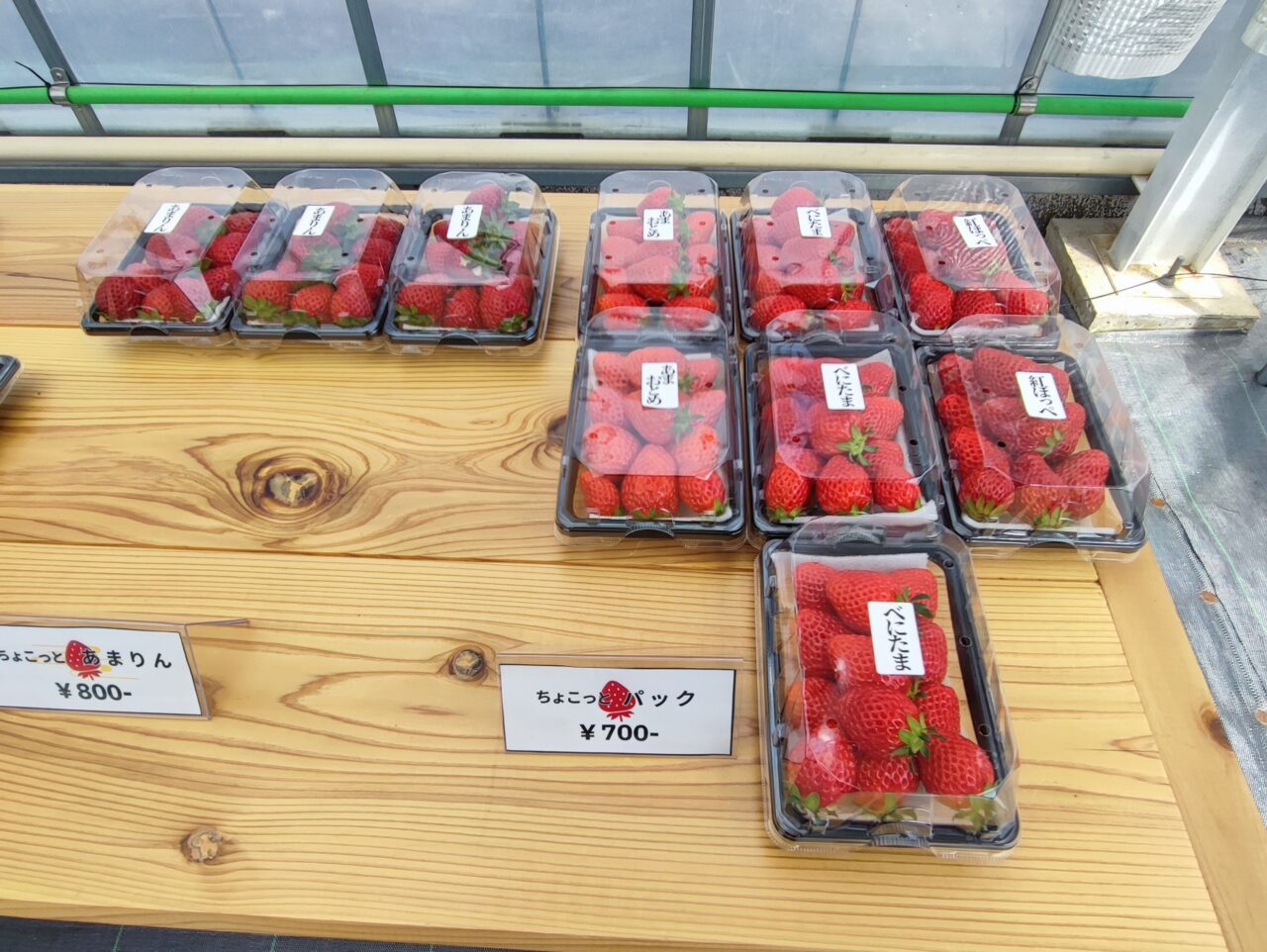 観光農園「ICHIGOSUKE（いちごすけ）」オープン