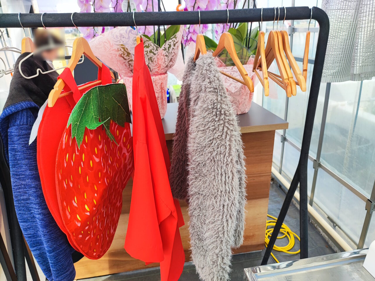 観光農園「ICHIGOSUKE（いちごすけ）」オープン