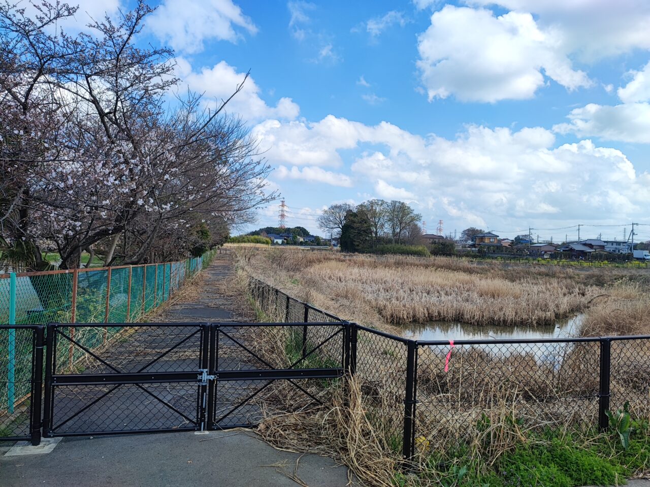 岡泉調整池ネーミングライツパートナー募集