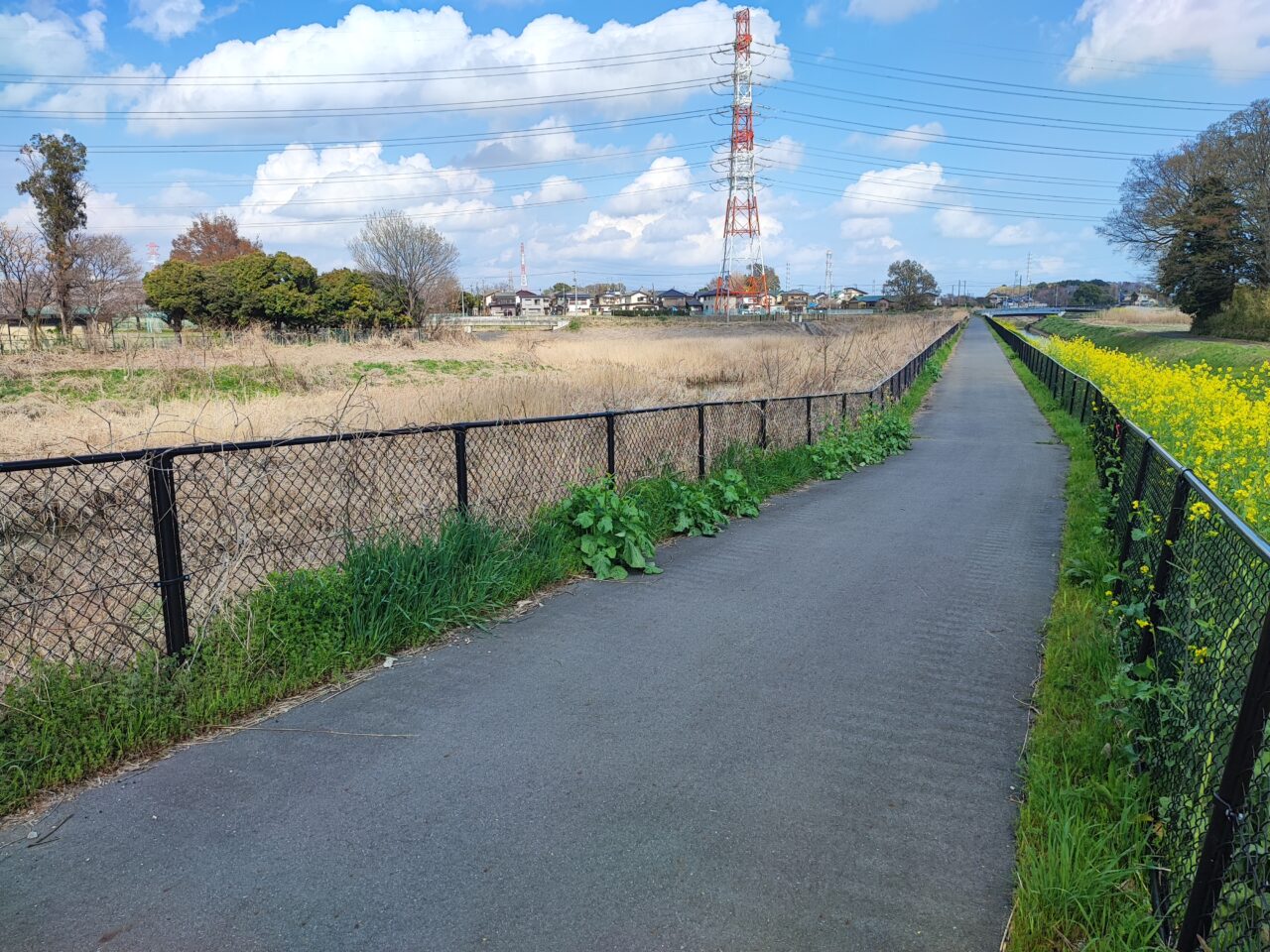 岡泉調整池ネーミングライツパートナー募集