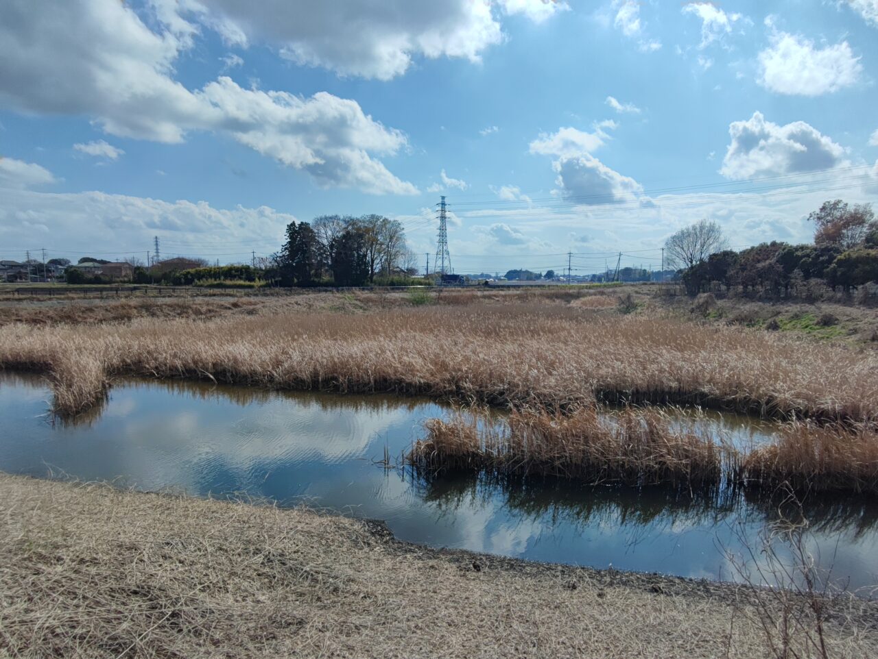 岡泉調整池ネーミングライツパートナー募集