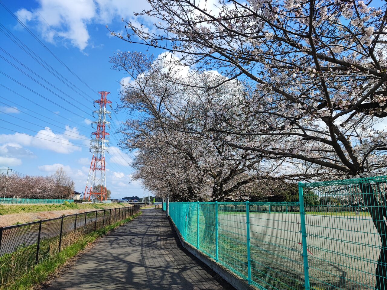 岡泉調整池ネーミングライツパートナー募集