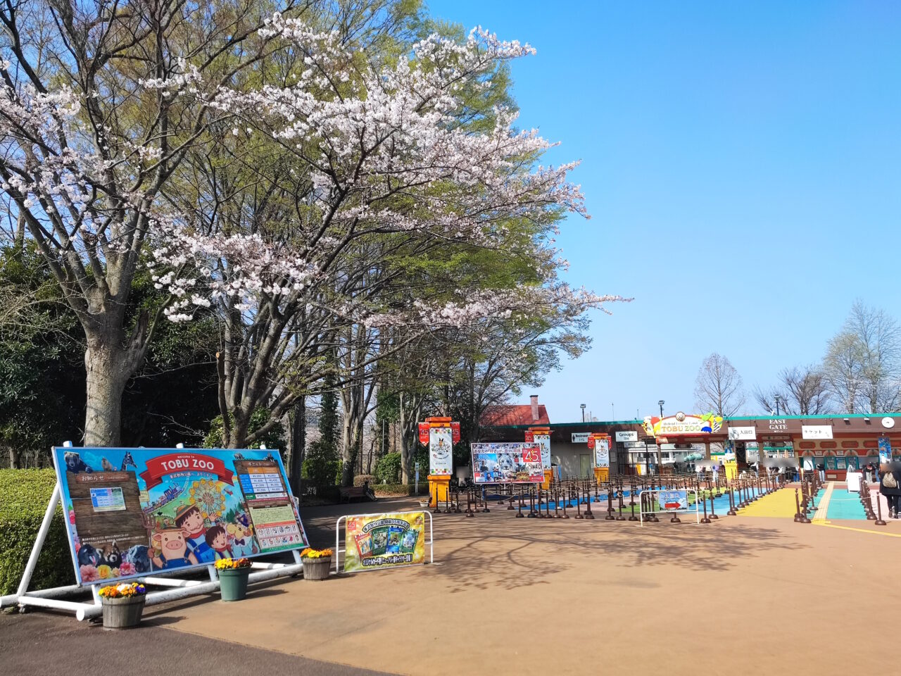 東武動物公園 夜桜のライトアップ