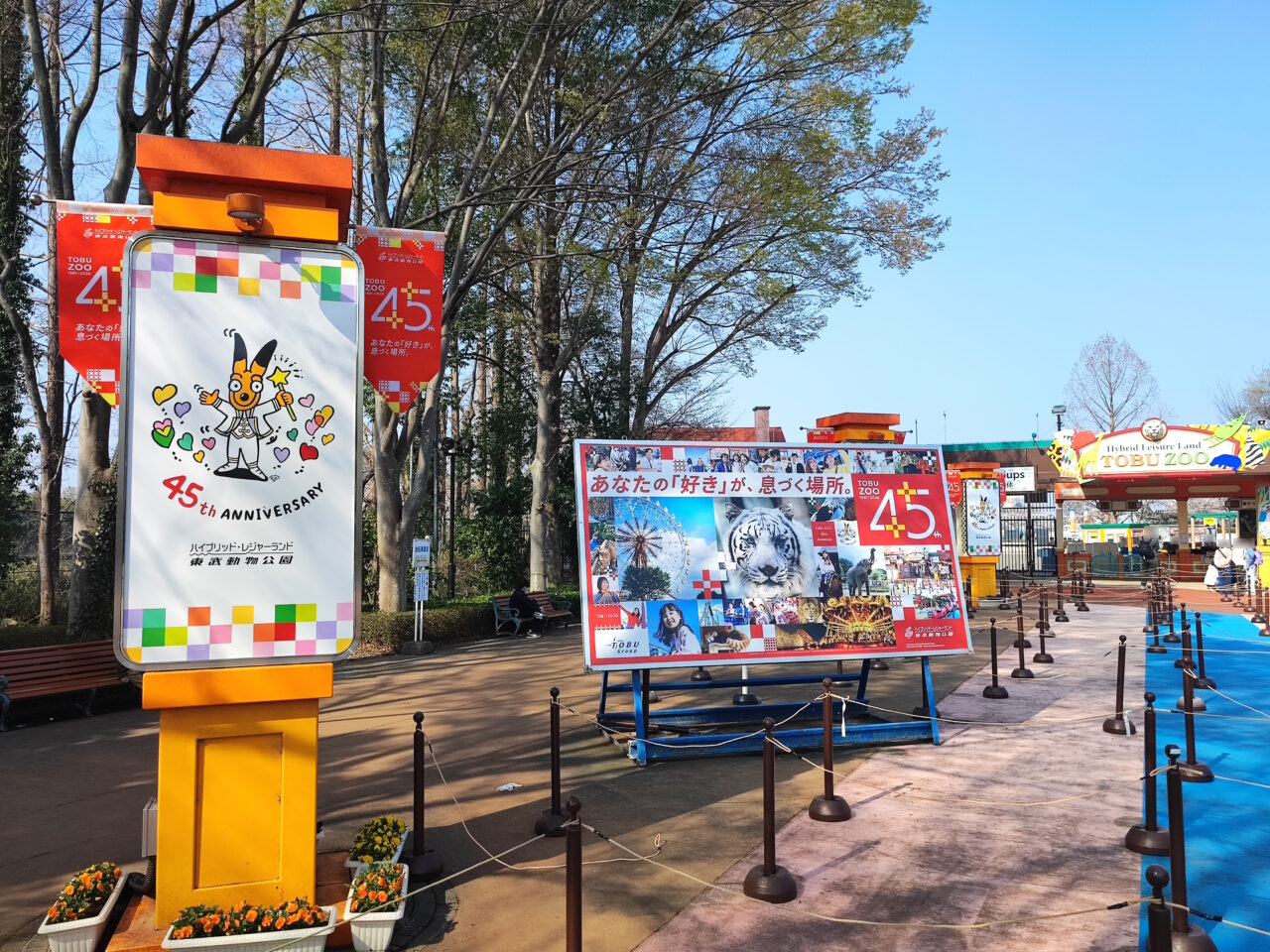 東武動物公園 夜桜のライトアップ