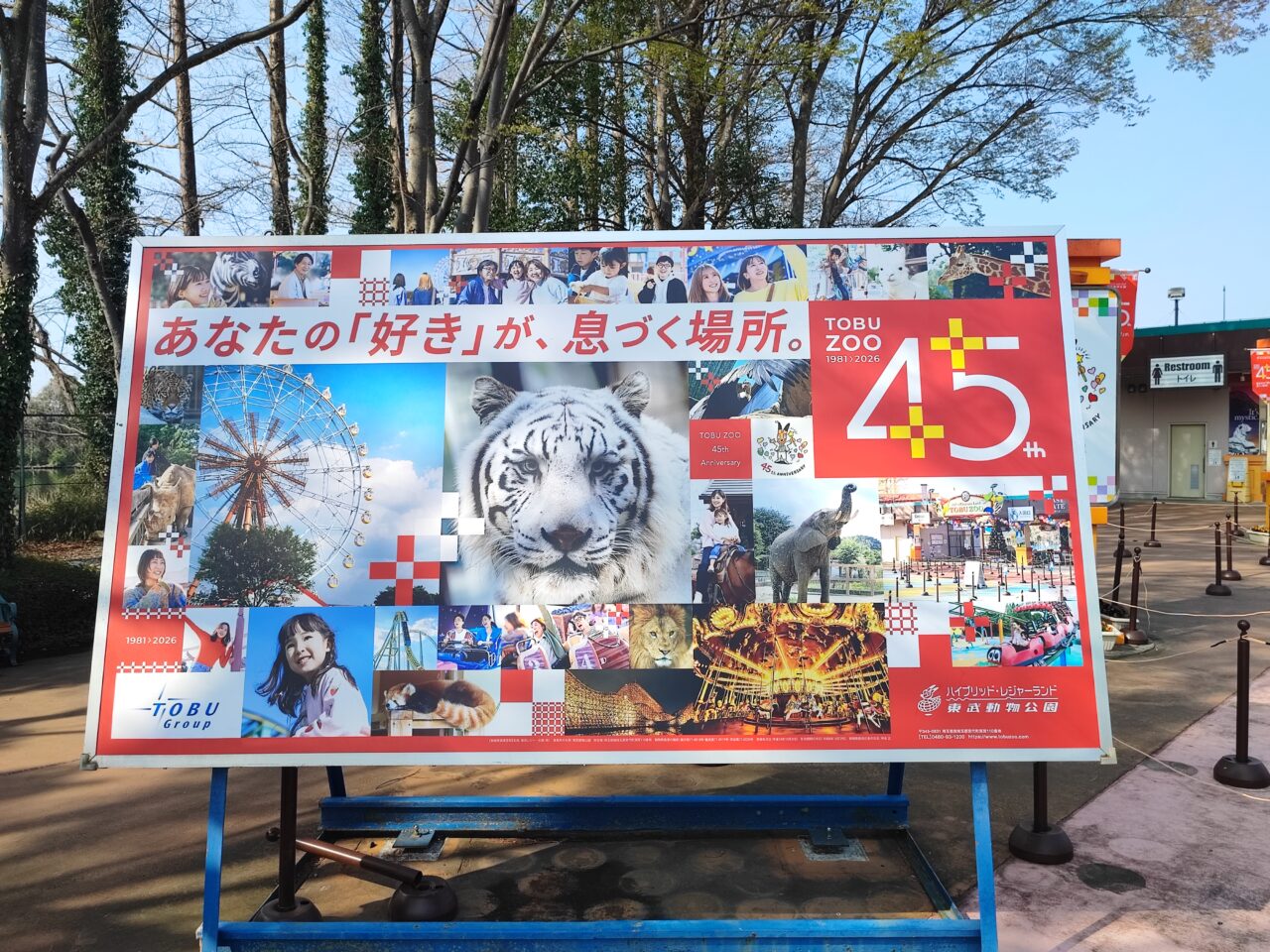 東武動物公園 夜桜のライトアップ