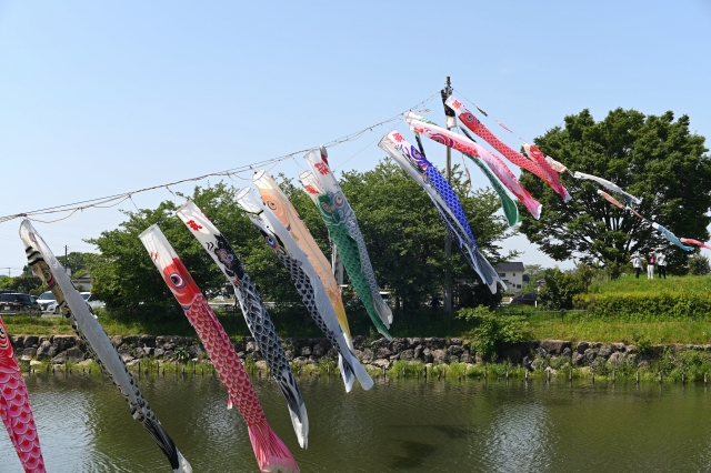 柴山沼鯉のぼり事業