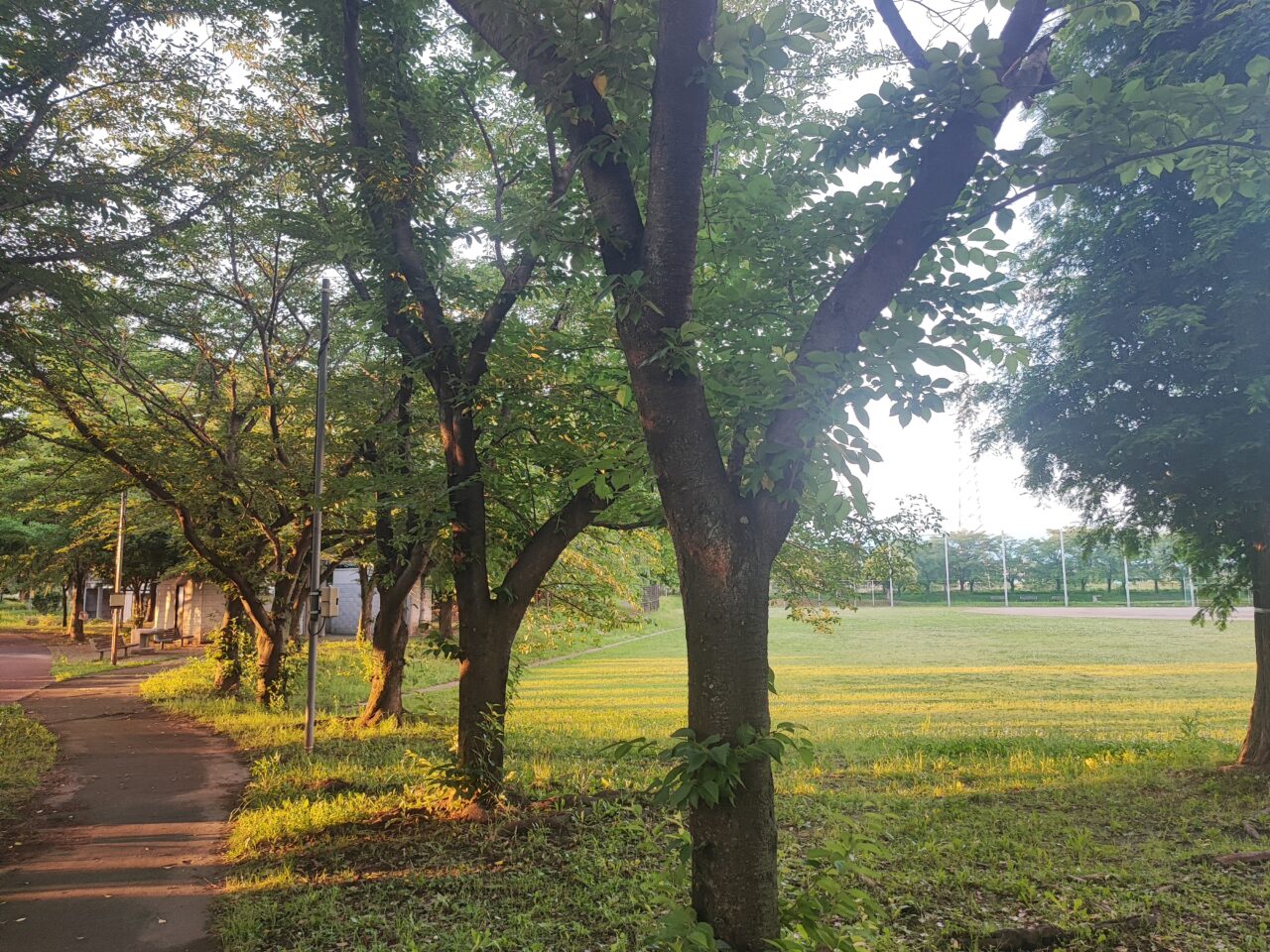 白岡市フォトコン