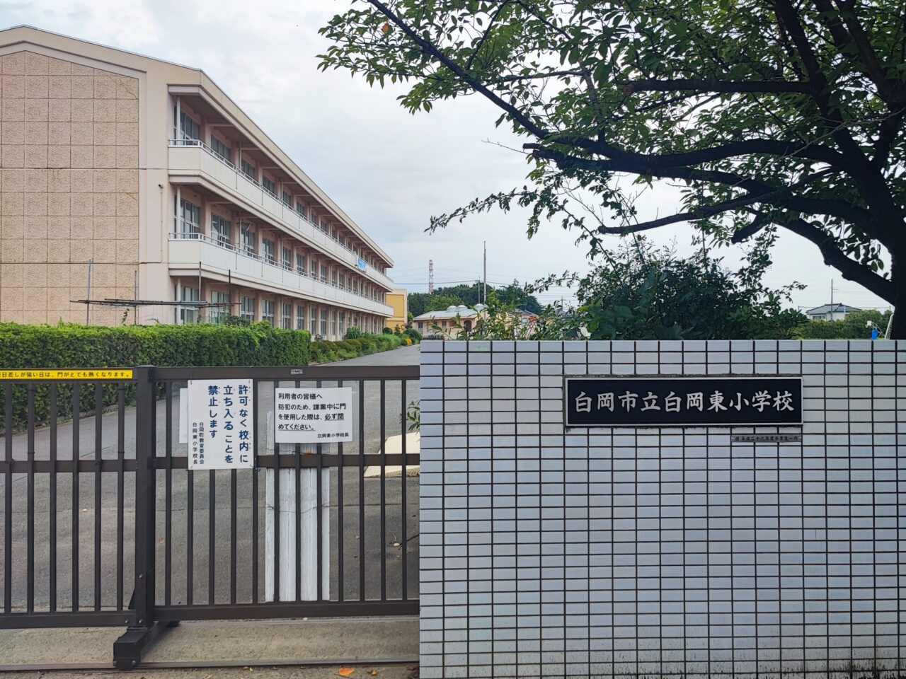 ジュベニール白岡　親子バスケ体験会