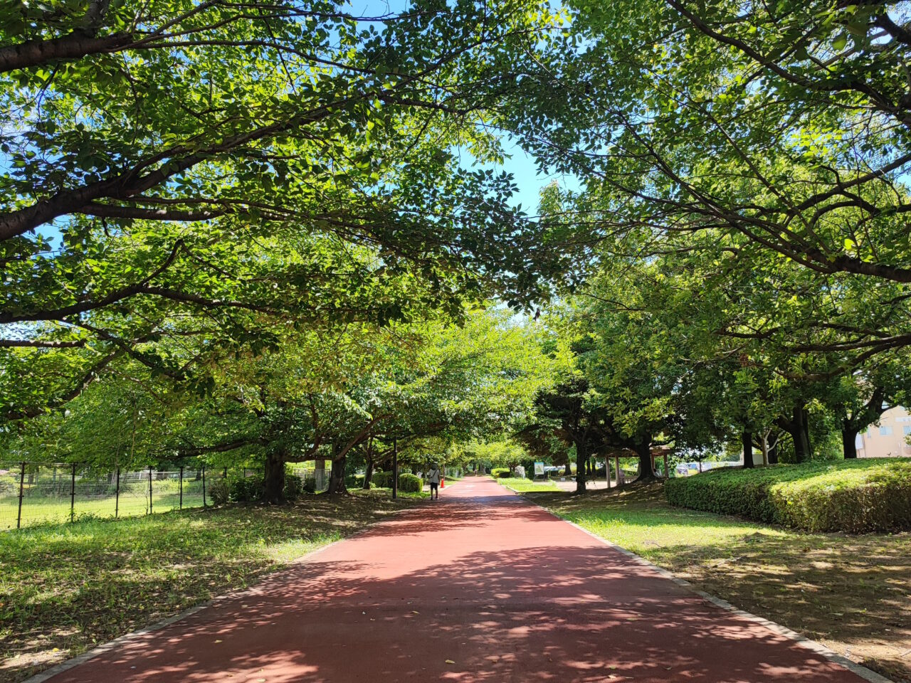 白岡市フォトコン